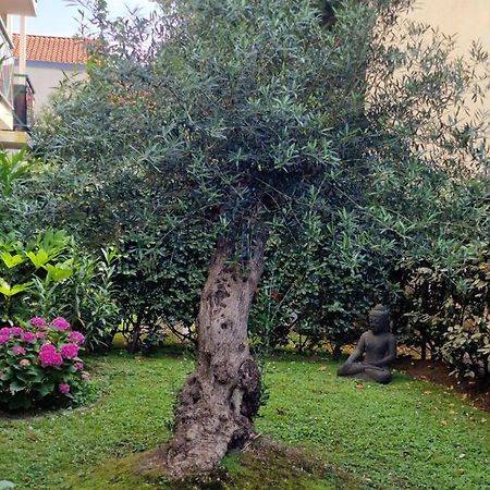 Superbe appartement avec jardin Saint Charles Biarritz Extérieur photo