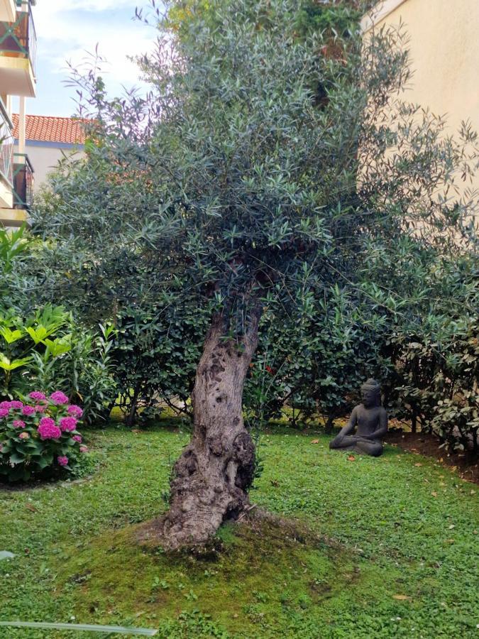 Superbe appartement avec jardin Saint Charles Biarritz Extérieur photo